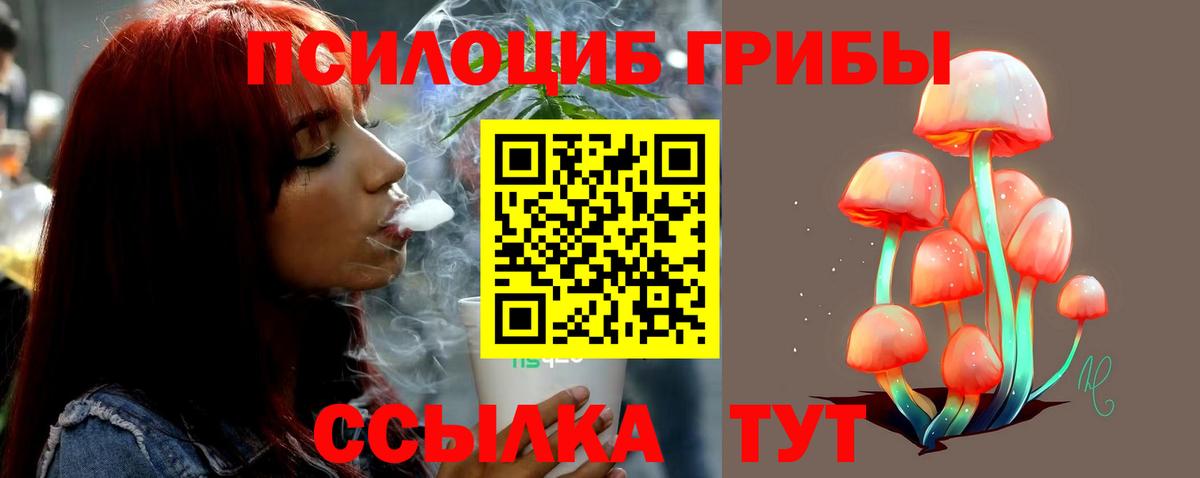Галлюциногенные грибы ЛСД Зерноград